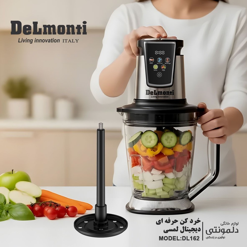 خردکن حرفه ای دیجیتال لمسی دلمونتی DL162